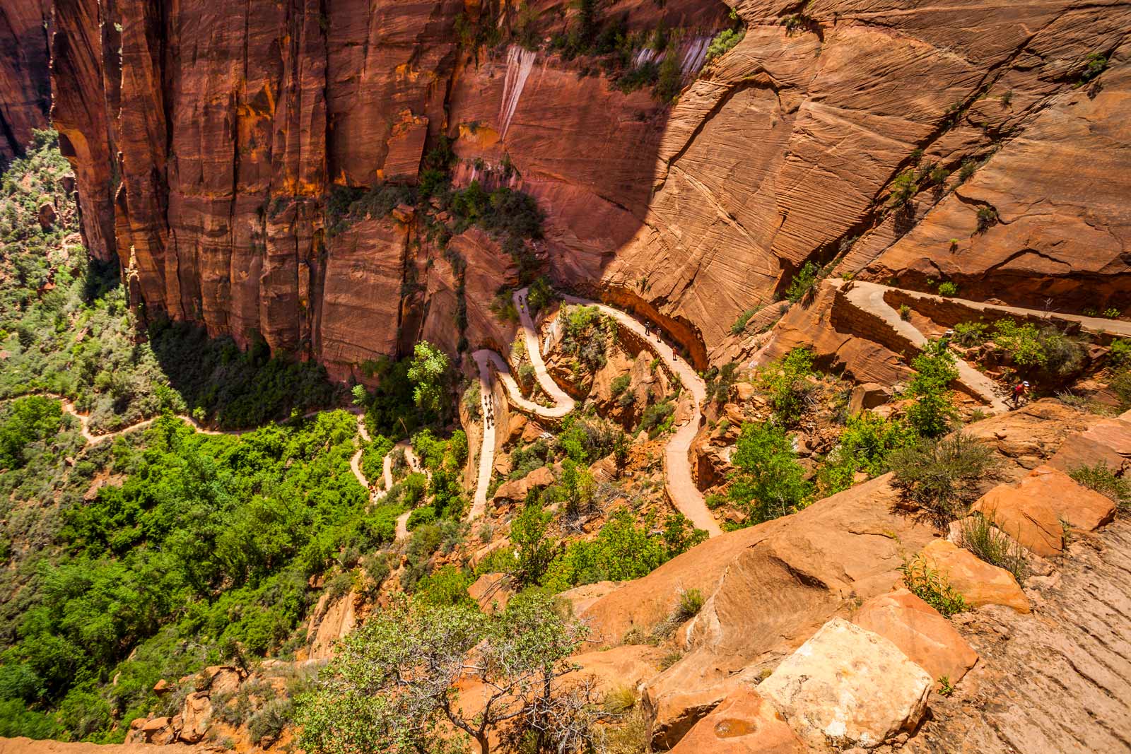 best hikes in zion natoinal park utah Angels Landing 