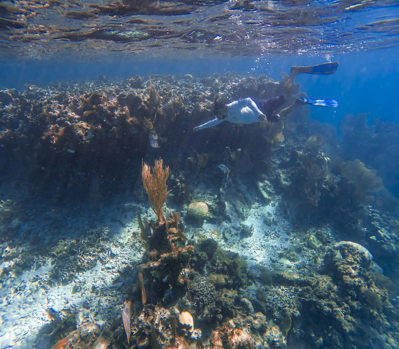 Itinerary for Belize South Channel Reef