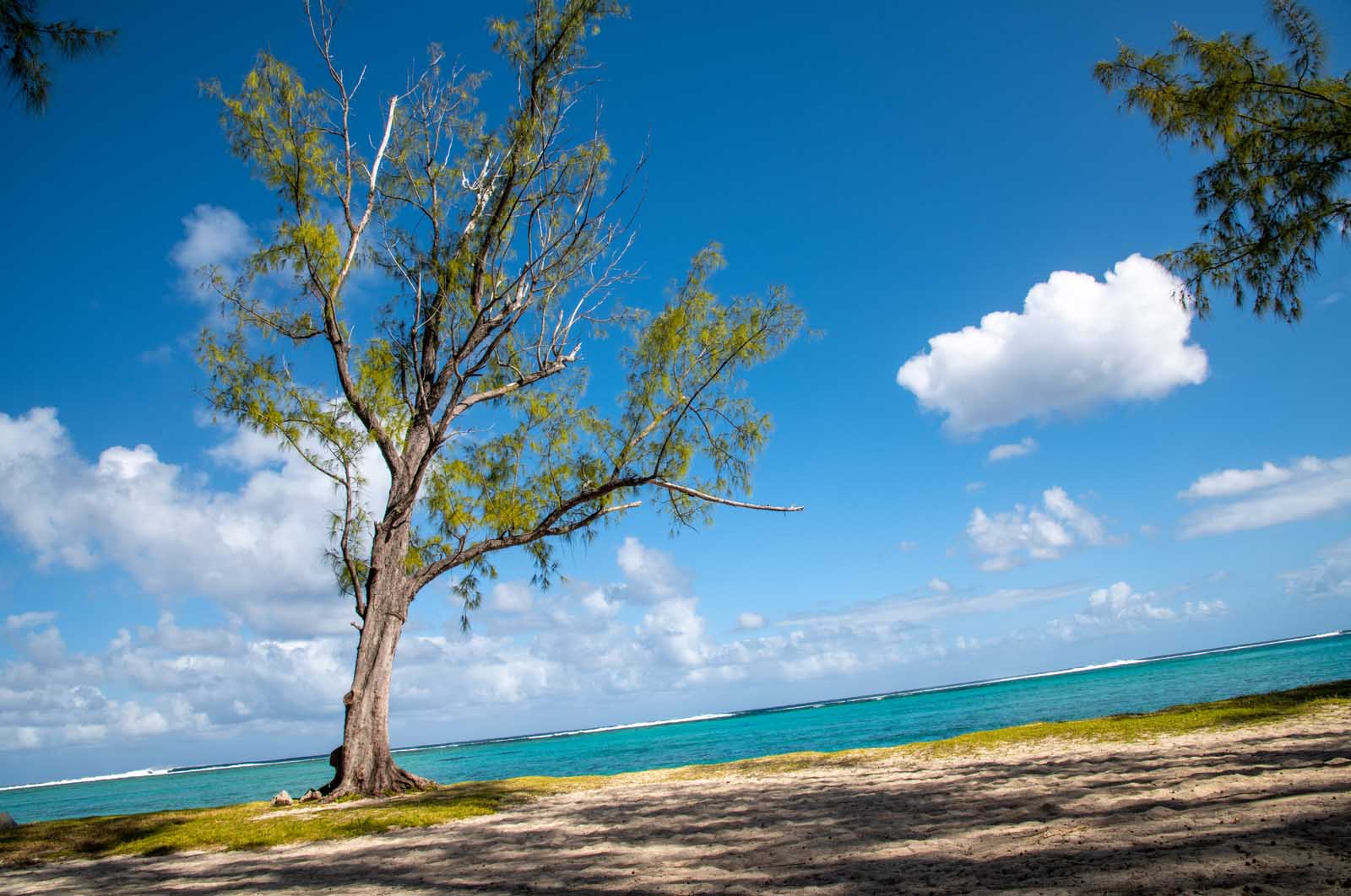 Best Beaches in the World Le Morne Public Beach in Mauritius