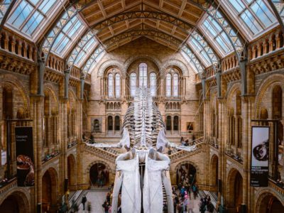 18 Best Museums in London You Have to See in 2024