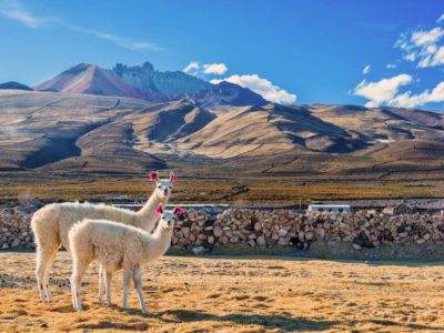 20 Best Things To Do In Bolivia In 2024