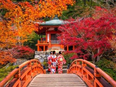 The 20 Best Things to Do in Kyoto, Japan