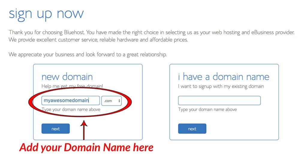 step 2 getting your domain name