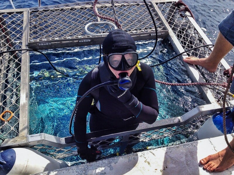 cage diving great white sharks - Deb getting in the water