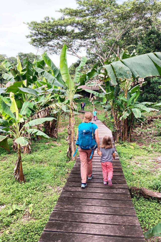 traveling with kids jungle path