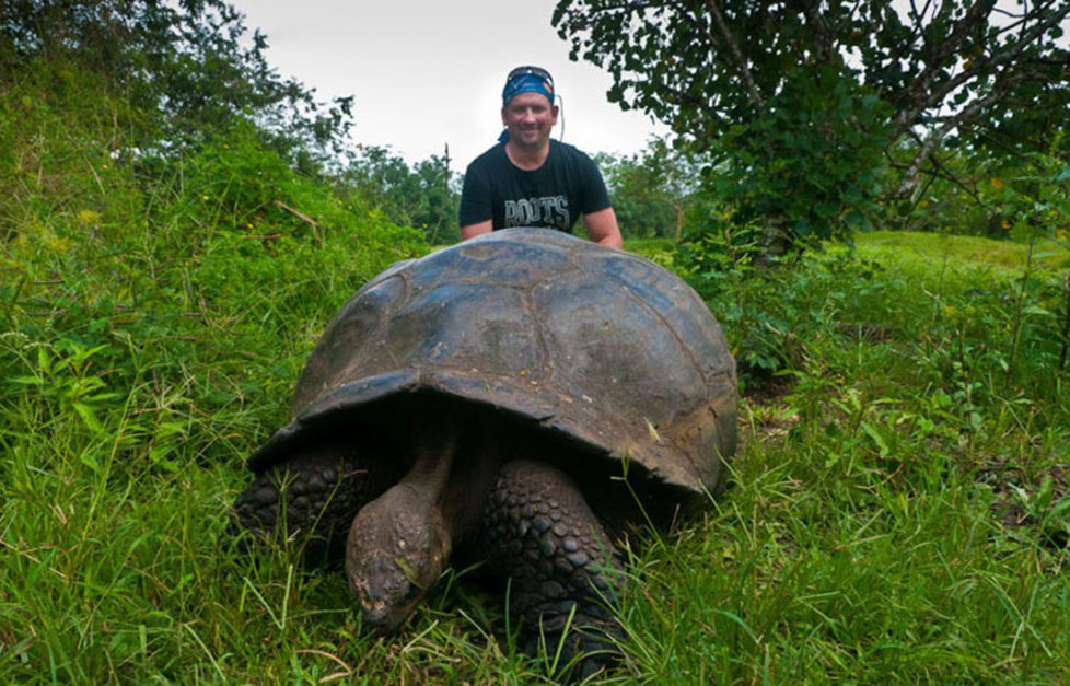 galapagos turtle dave