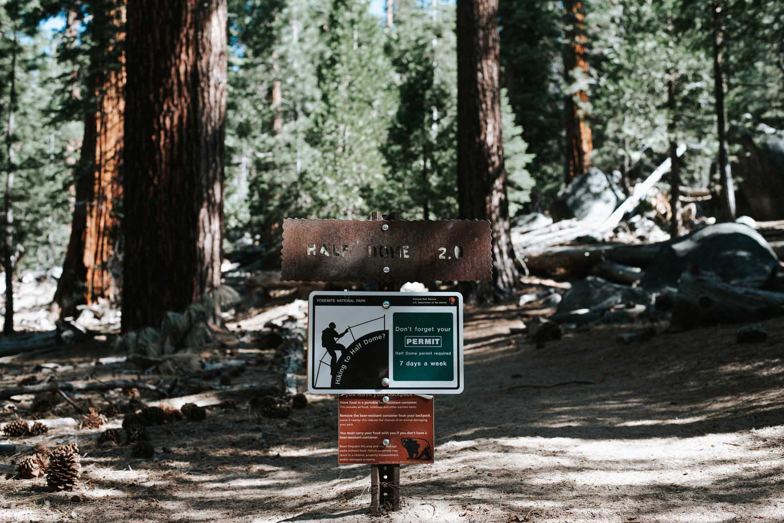 What You need to know about Hiking Half Dome in Yosemite