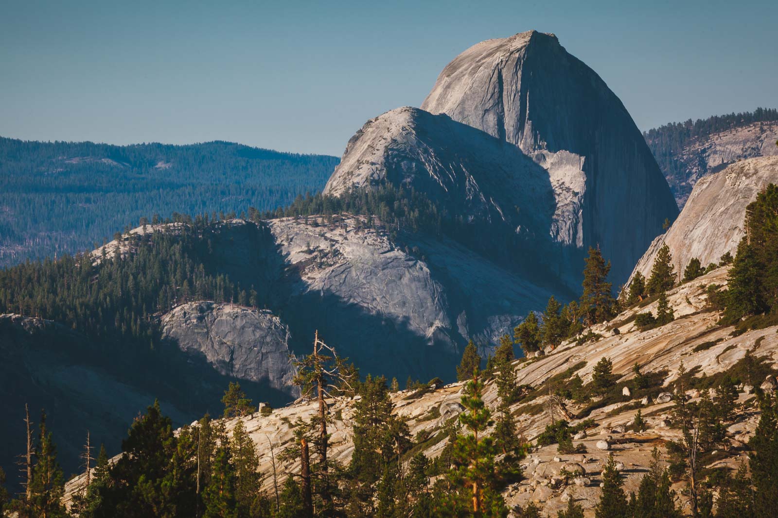 Half Dome Hike History