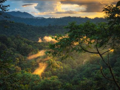 Mashpi Lodge – Luxury and Adventure in the Cloud Forest of Ecuador