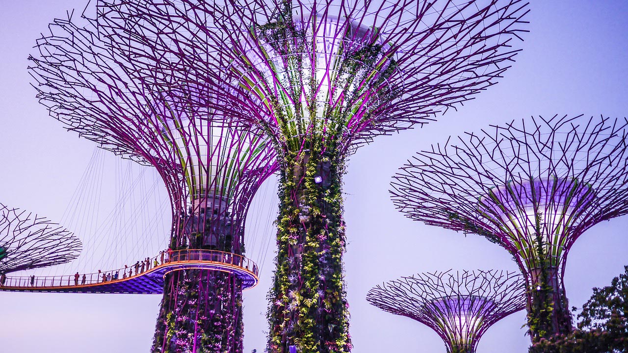 Super Tree Structures in the Garden By the bay Singapore 