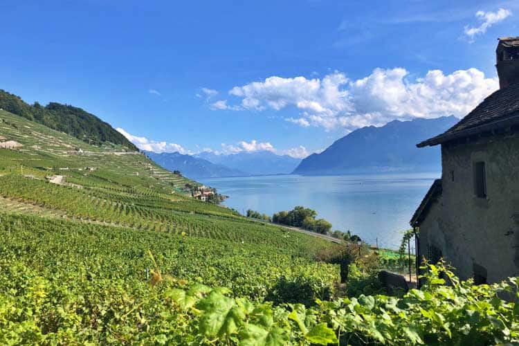 switzerland itinerary lavaux vineyards