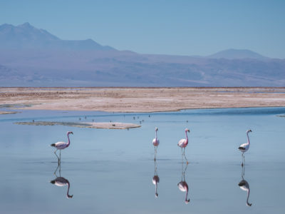 Best Things to do in San Pedro de Atacama, Chile