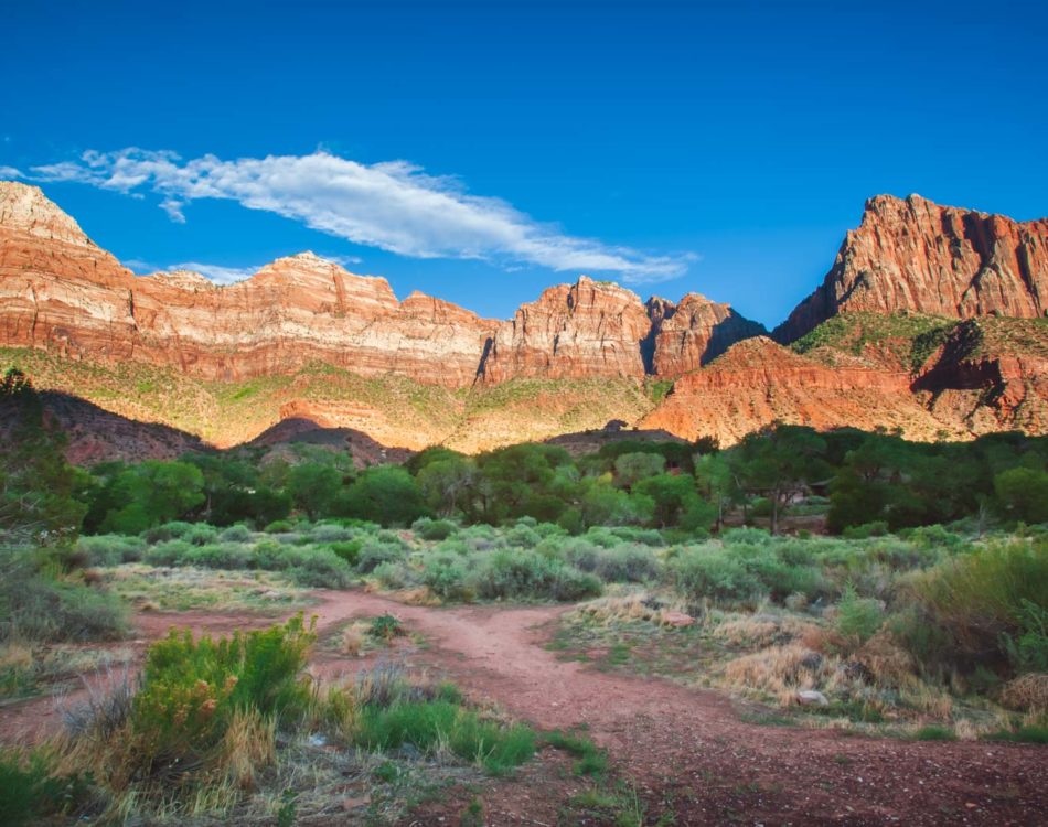 Where to Stay In And Around Zion National Park: Our Favourite Places